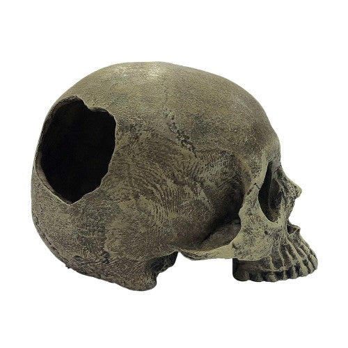 Komodo, Komodo Half Human Skull Reptile Hideout, Gray, 1 Each/One Size