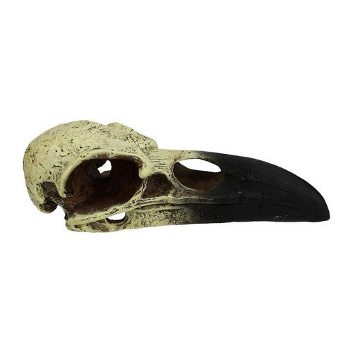 Komodo, Komodo Raven Skull Hideout, 1 Each/MD, 6 in