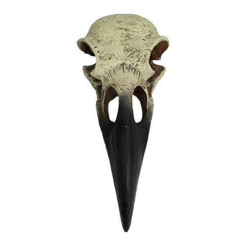 Komodo, Komodo Raven Skull Hideout, 1 Each/MD, 6 in