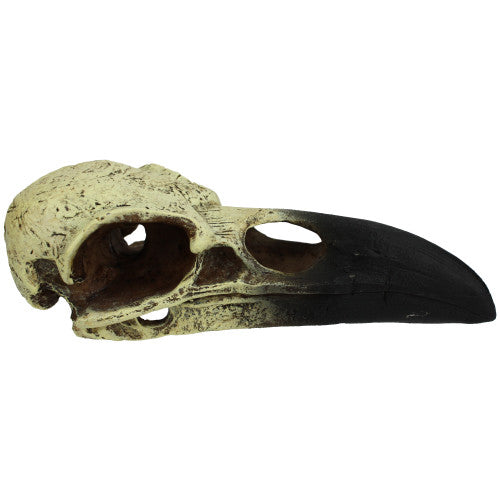 Komodo, Komodo Raven Skull Hideout, 1 Each/LG, 18 in