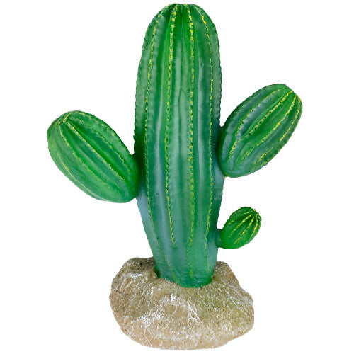 Komodo, Komodo Cactus Plant Saguaro, 1 Each/9.5 in