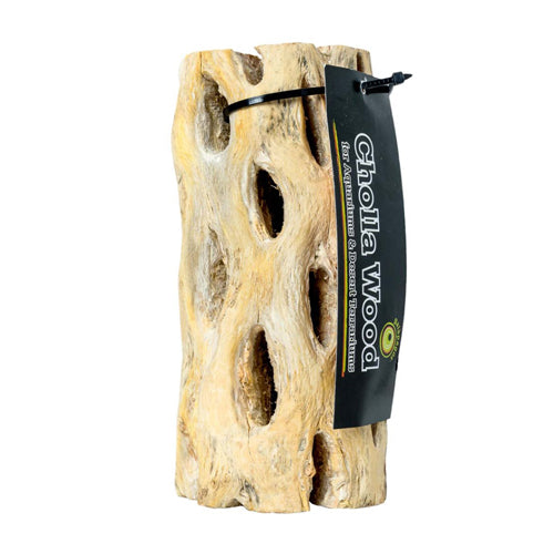 Galapagos, Galapagos Cactus Skeleton Cholla Wood, Brown, 1 Each/12 in