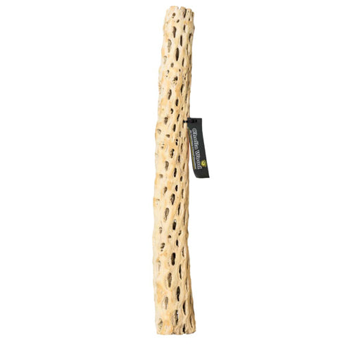 Galapagos, Galapagos Cactus Skeleton Cholla Wood, Brown, 1 Each/36 in