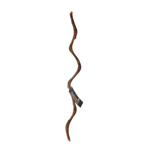 Galapagos, Galapagos Jungle Wood, Brown, 1 Each/24 in