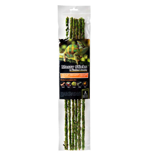 Galapagos, Galapagos Mossy Sticks Terrarium Ornament, Fresh Green, 1 Each/18 in, 6 Count