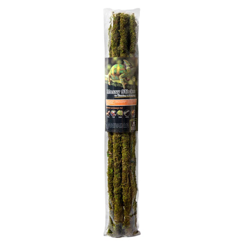 Galapagos Mossy Sticks Terrarium Ornament Fresh Green, 1 Each/24 in, 6 Count by Galapagos