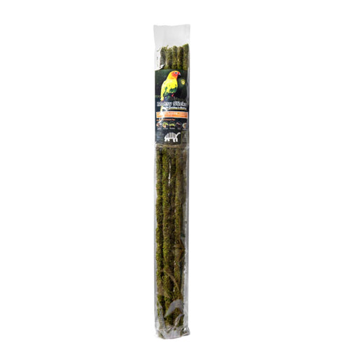 Galapagos Mossy Sticks Terrarium Ornament Fresh Green, 1 Each/32 in, 6 Count by Galapagos