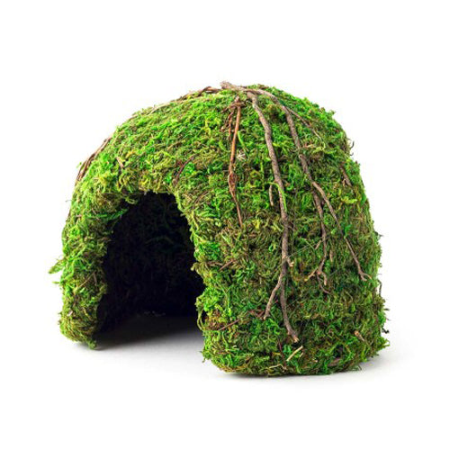 Galapagos Mossy Dome Terrarium Hideaway Fresh Green, 1 Each/6 in by Galapagos