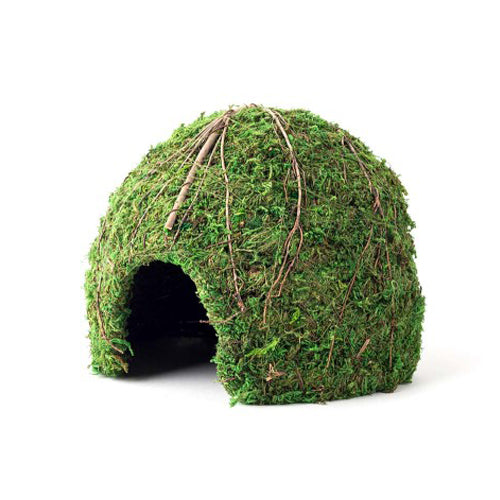Galapagos Mossy Dome Terrarium Hideaway Fresh Green, 1 Each/9 in by Galapagos