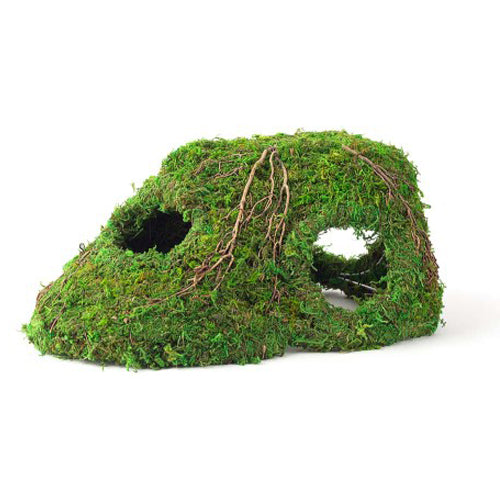Galapagos, Galapagos Sapa Corner Hide Terrarium Hideaway, Fresh Green, 1 Each/10 in