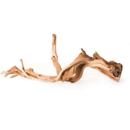 Galapagos, Galapagos Staghorn Wood Manzanita Root, Brown, 1 Each/13 In - 18 in