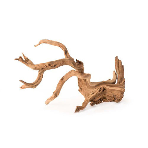Galapagos, Galapagos Staghorn Wood Manzanita Root, Brown, 1 Each/19 In - 24 in
