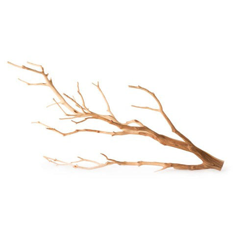 Galapagos, Galapagos Staghorn Wood Manzanita Branch, Brown, 1 Each/13 in - 18 in
