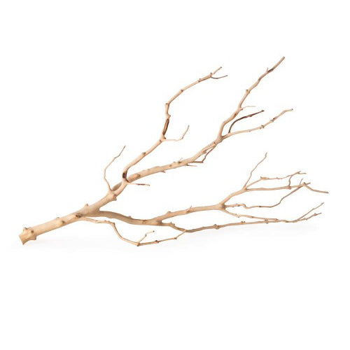 Galapagos, Galapagos Staghorn Wood Manzanita Branch, Brown, 1 Each/19 In - 24 in