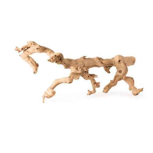 Galapagos, Galapagos Walking Wood Grapevine Branch, Brown, 1 Each/19 In - 24 in