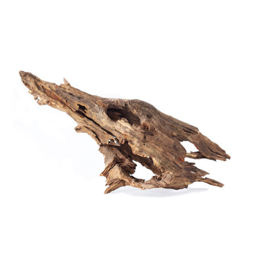 Galapagos Natural Driftwood Hollow Tree Root 1 Each/12-16 in by Galapagos