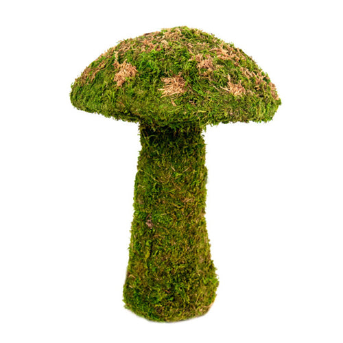 Galapagos Moss Mushroom Decorative Terrarium Ornament Fresh Green, 1 Each/14 in, Medium by Galapagos
