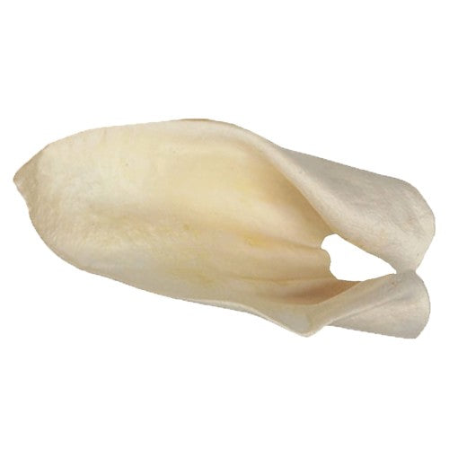 Redbarn Pet Products Cow Ears Dog Chew 1 Each/100 Count by Redbarn Pet Products