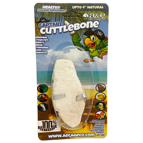A&E Cage Company, A & E Cages Natural Cuttlebone, 1 Each/4 in
