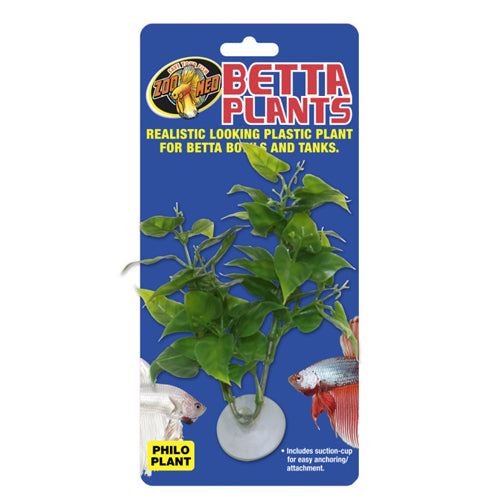Zoo Med Betta Plant Philo Green, 1 Each by Zoo Med