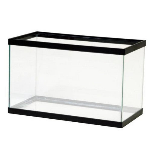 Standard Glass Rectangle Aquarium Clear Silicone 10 Gallons / Black by Aqueon