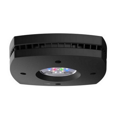Aqua Illumination, Prime Freshwater LED Light Fixture Black, 1 Count