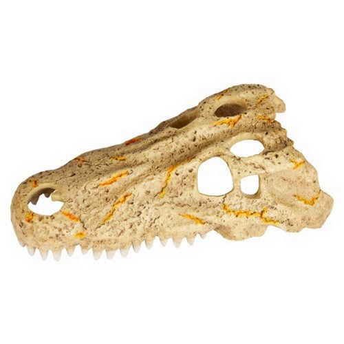 Rapid Sense Decor Medium Crocodile Skull 1 Count / Medium by Zilla