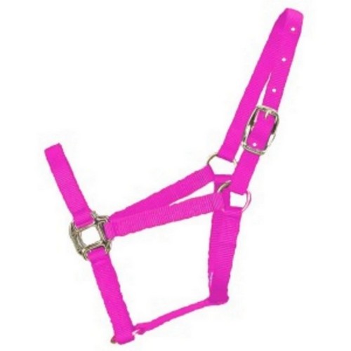 Halter Horse Qlty 8-11 Avg 1" Hot Pink 1 Each by Hamilton