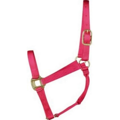 Halter Horse Qlty 11-16 Large 1" Raspberry 1 Each by Hamilton