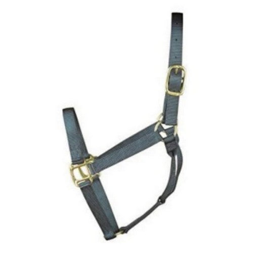 Halter Horse Qlty 8-11 Avg 1" Grap 1 Each by Hamilton