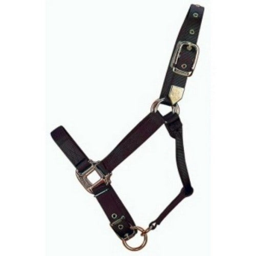 Hamilton, Halter Horse Adjustable 11-16 Large Black, 1 Each