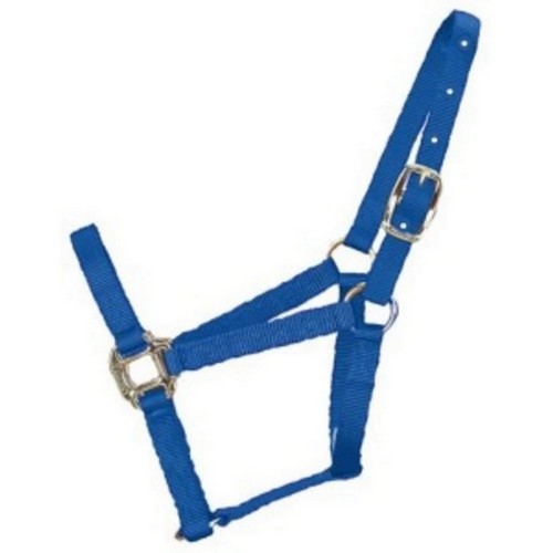 Hamilton, Halter Horse Adjustable 11-16 Lg Berry Blue 1, 1 Each