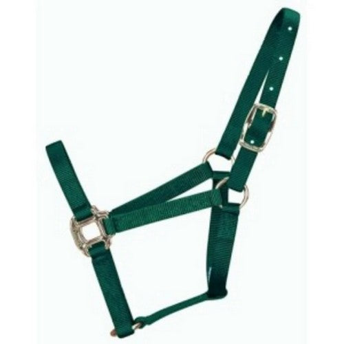 Hamilton, Halter Horse Adjustable 11-16 Lg Dark Green, 1 Each