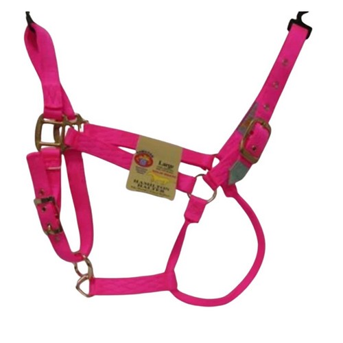 Hamilton, Halter Horse Adjustable 11-16 Lg Hot Pink, 1 Each