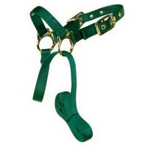 Hamilton, Halter Livest Sheep With Lead Dark Green, 1 Each