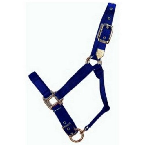 Hamilton, Halter Horse Adjustable 1-2 Foal Navy, 1 Each