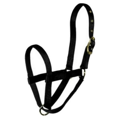 Hamilton, Halter Livest Turn Out Yrl Black, 1 Each