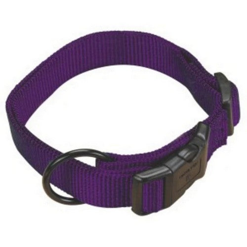 Collar Adjustable 1" 18-26 Large Purple Fal 18 2 Count by Hamilton