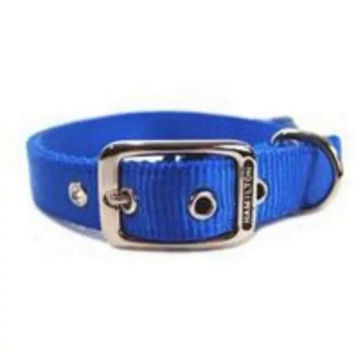 Collar Single Thick 5/8" 16" Blue 2 Count by Hamilton