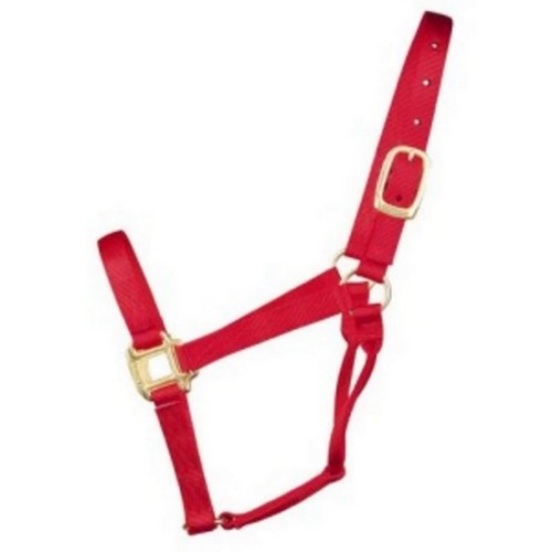 Hamilton, Halter Horse Adjustable 8-11 Avg Red, 1 Each