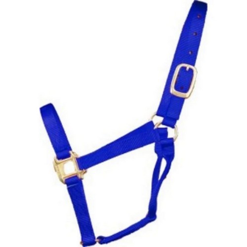 Hamilton, Halter Horse Adjustable 8-11 Avg Blue, 1 Each