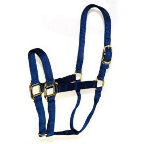 Hamilton, Halter Horse Adjustable 8-11 Avg Navy, 1 Each