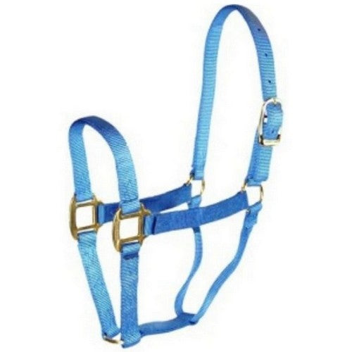 Hamilton, Halter Horse Adjustable 8-11 Avg Berry Blue, 1 Each
