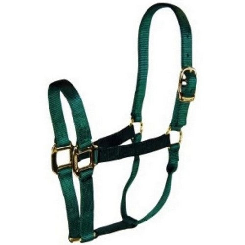Hamilton, Halter Horse Adjustable 8-11 Avg Dark Green, 1 Each