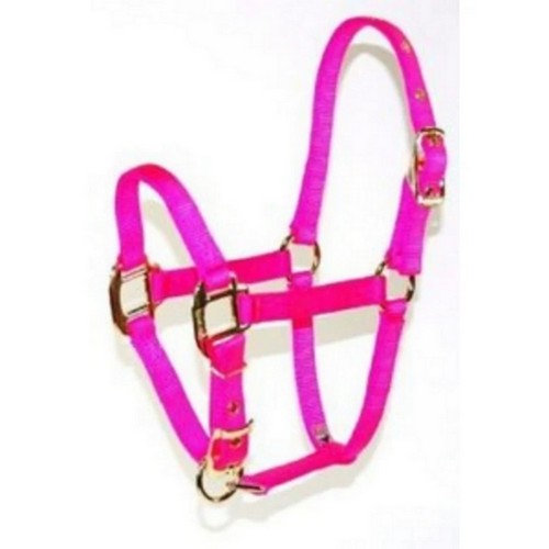 Hamilton, Halter Horse Adjustable 8-11 Avg Hot Pink 1D, 1 Each