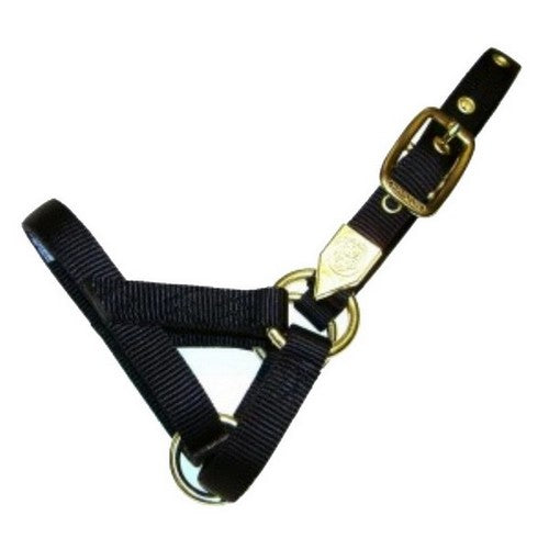 Hamilton, Halter Livest Llama A-Adult Black, 1 Each