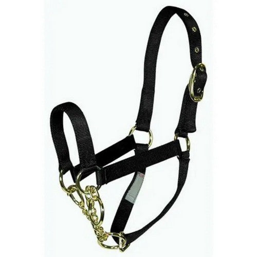 Hamilton, Halter Livest Control Cow Black, 1 Each