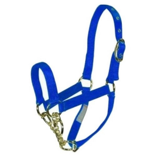 Hamilton, Halter Control Calf Blue, 1 Each