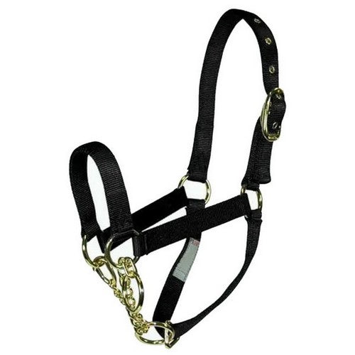 Hamilton, Halter Livest Control Calf Black, 1 Each