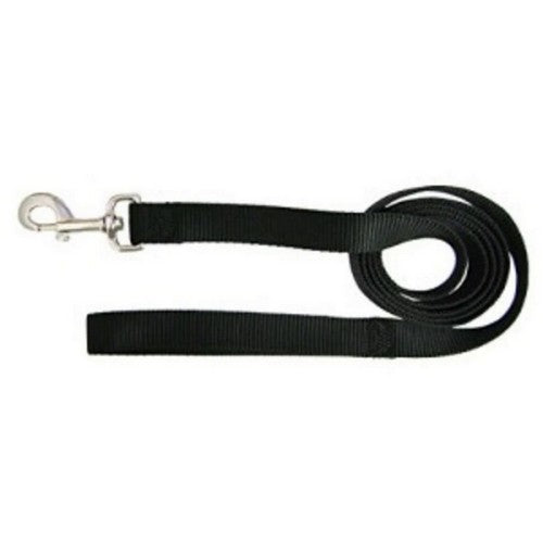 Leash Single Thick 1" 6Ft Black 1 Each by Hamilton